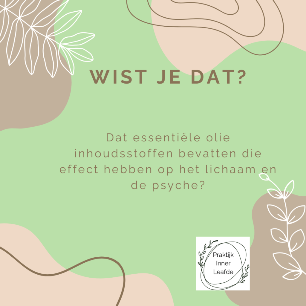 Wist u Dat?