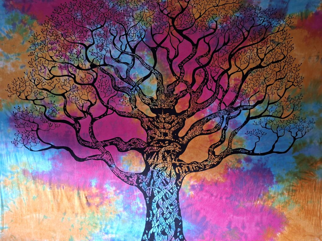 Oproep: Ik zoek oefenclienten!